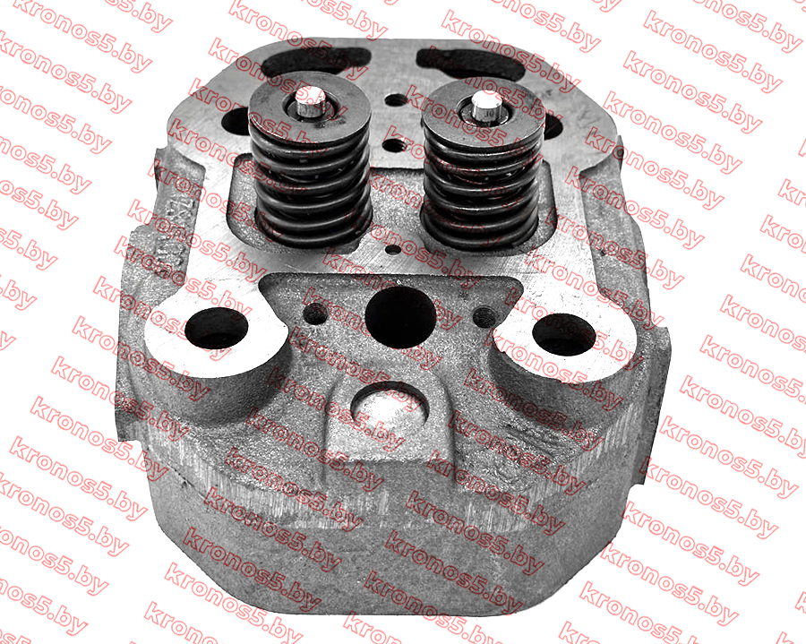 «Головка блока цилиндра в сборе ZS1115NDL» - фото