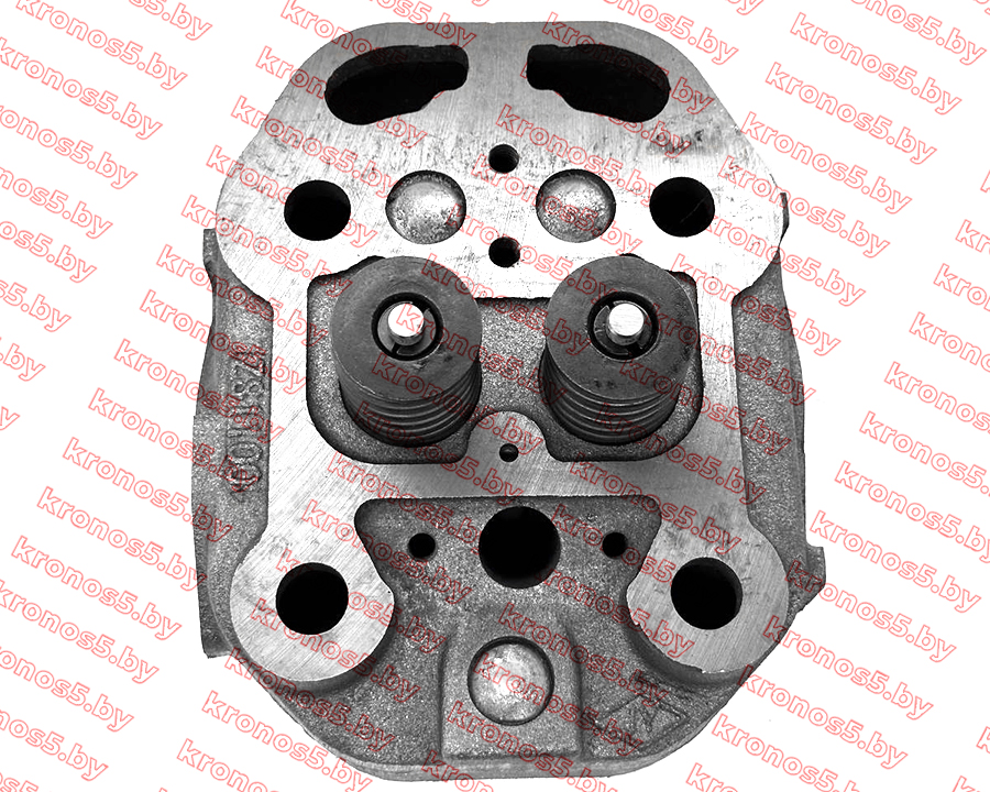«Головка блока цилиндра в сборе ZS1100» - фото 5