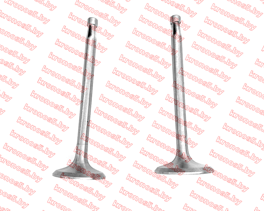 «Клапаны впуск+выпуск ZS1100NDL» - фото 3