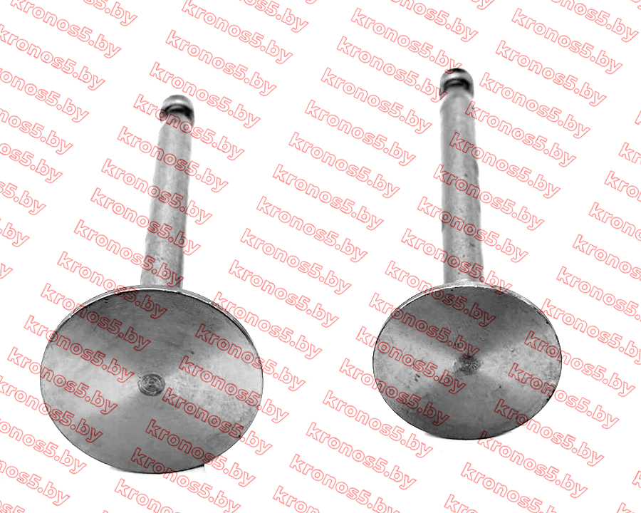 «Клапаны впуск+выпуск ZS1100NDL» - фото 2