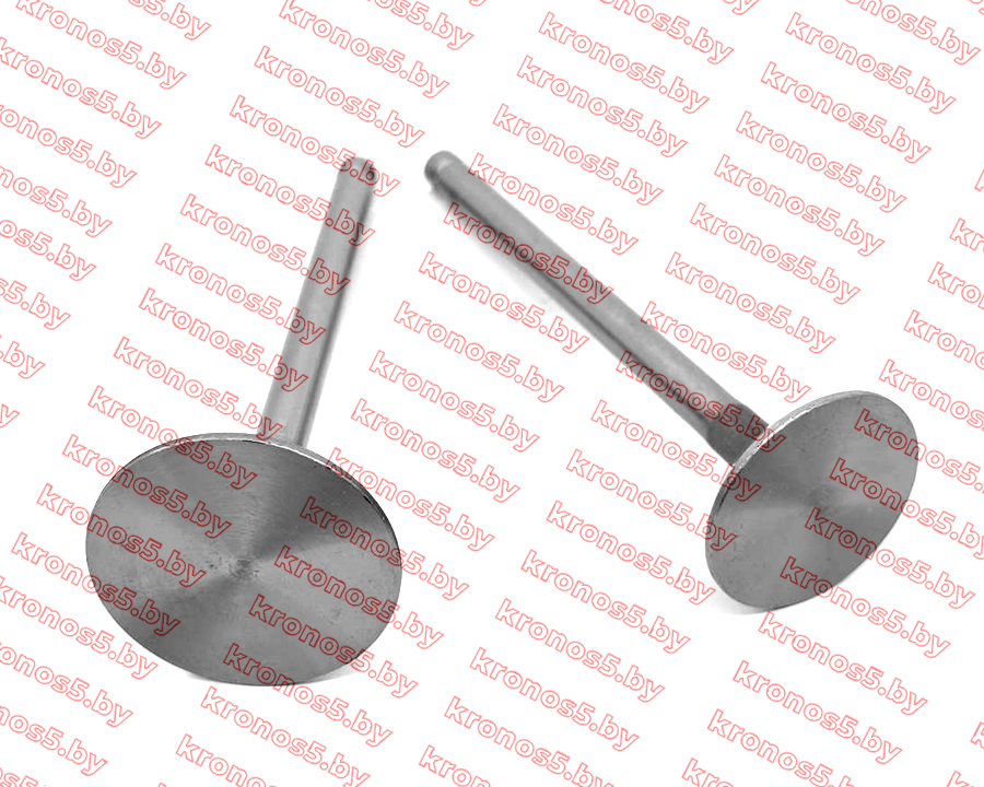 «Клапаны (пара) L-120 мм R195/195N» - фото 2