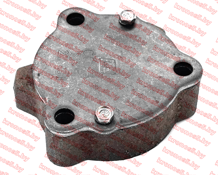 «Масляный насос ZS1100» - фото 2 «Масляный насос ZS1100» - фото 2