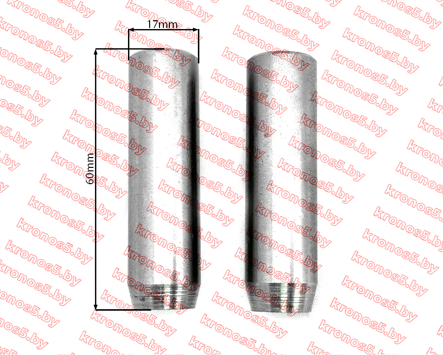 «Направляющие клапанов (пара) ZS1100» - фото