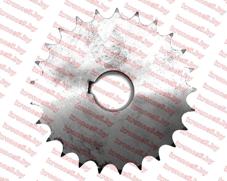 «Звездочка цепная сортировочного стола Z-25 Ф=25 мм Anna» - фото 4