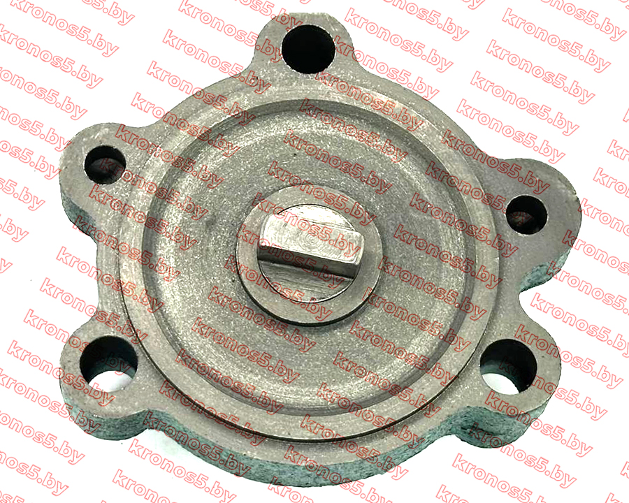 «Масляный насос ZS1115NDL» - фото 2