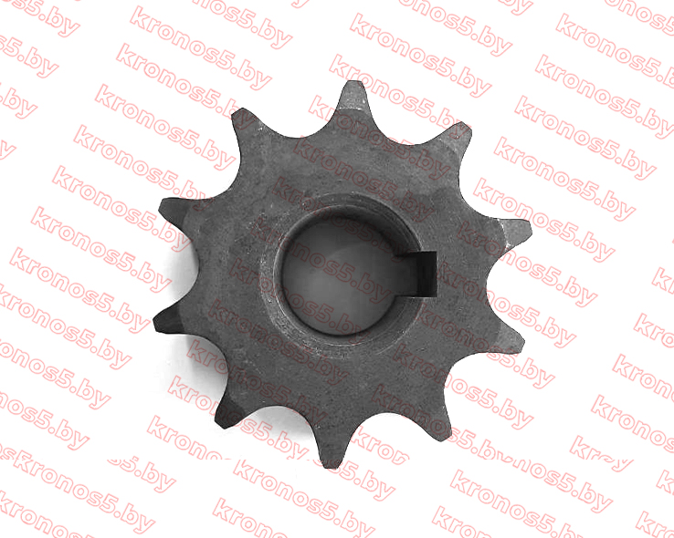 «Звездочка двухрядная привода редуктора Z-10 (Ф-24 мм, шпонка)» - фото