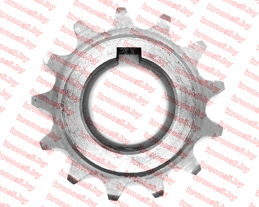 «Звездочка цепная сортировочного стола Z-13 Ф=30 мм Anna» - фото 2 «Звездочка цепная сортировочного стола Z-13 Ф=30 мм Anna» - фото 2