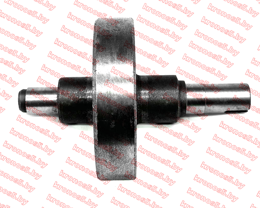 «Вал балансирующий (без резьбы) R195/195N» - фото 2