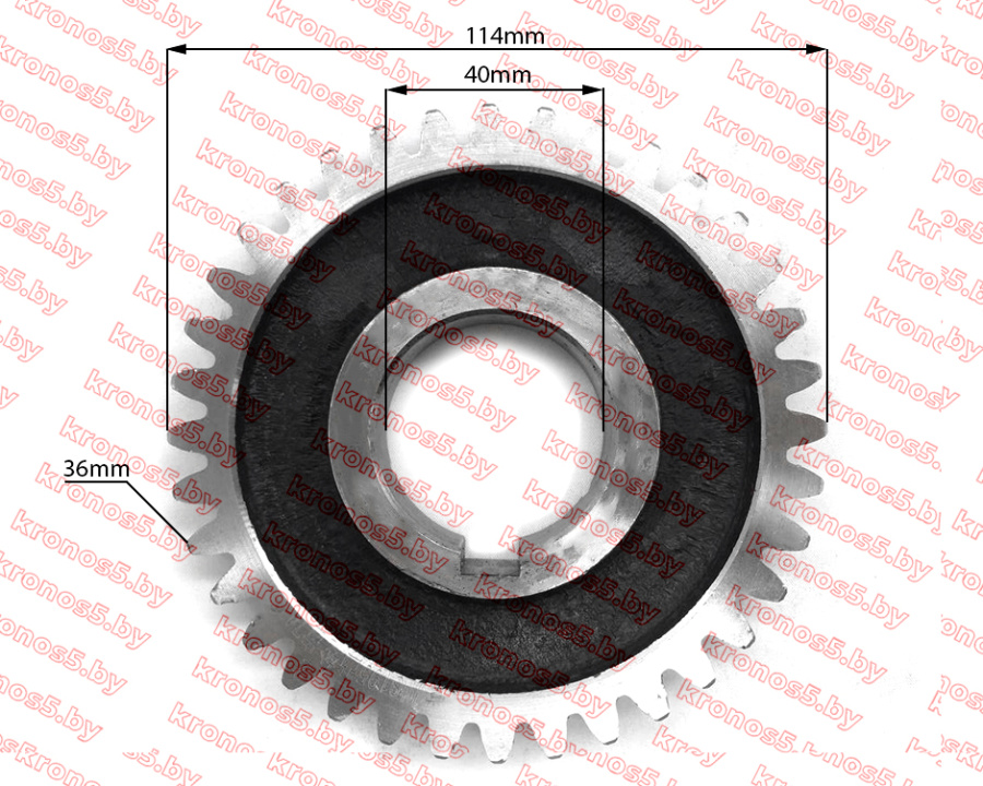 «Шестерня распредвала Z-36 внутр.Ø40 мм - ZS/ZH1100» - фото