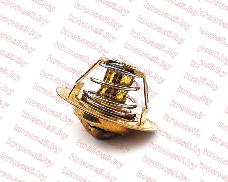 «Термостат TY295 (72 °С)» - фото