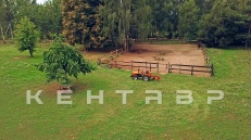 «Трактор Кентавр Т-240» - фото 11