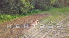 «Почвофреза к мини-трактору Кентавр Т-24 (1,2 м)» - фото 14