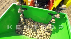 «Трактор Кентавр Т-244 PRO» - фото 19 «Трактор Кентавр Т-244 PRO» - фото 19