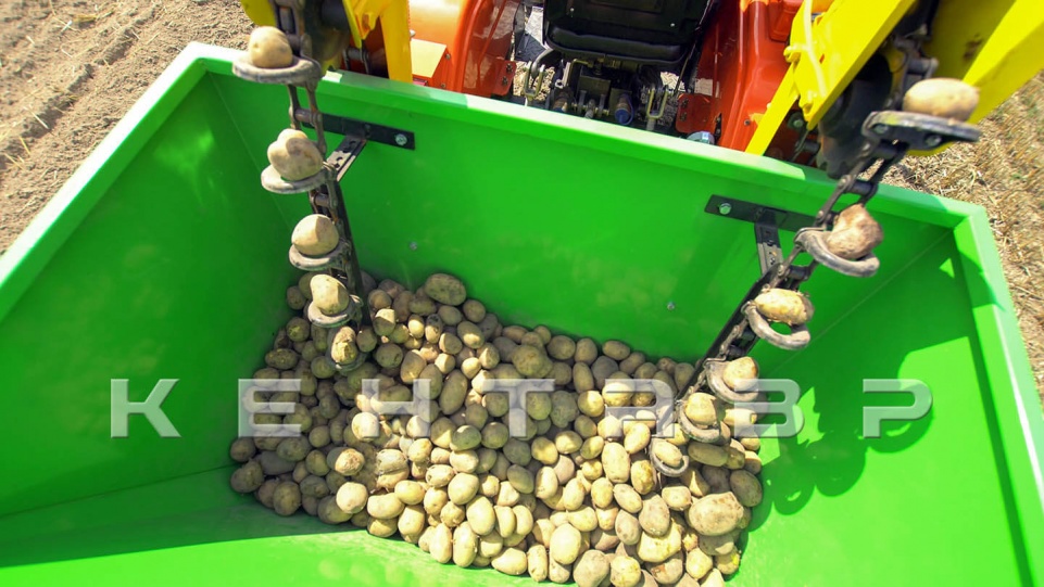 «Трактор Кентавр Т-244 PRO» - фото 19 «Трактор Кентавр Т-244 PRO» - фото 19