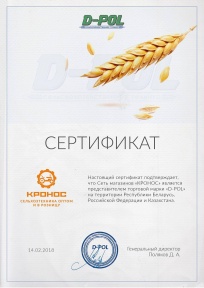 D-pol 2020