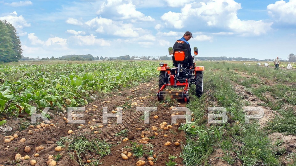 «Минитрактор Кентавр Т-24» - фото 17