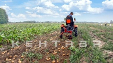 «Минитрактор Кентавр Т-18» - фото 8