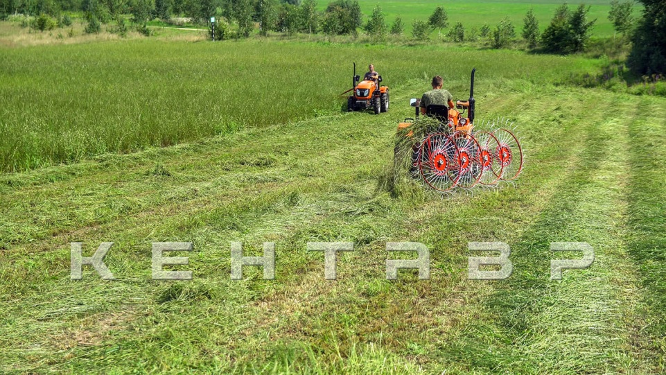 «Трактор Кентавр Т-244 PRO» - фото 26 «Трактор Кентавр Т-244 PRO» - фото 26