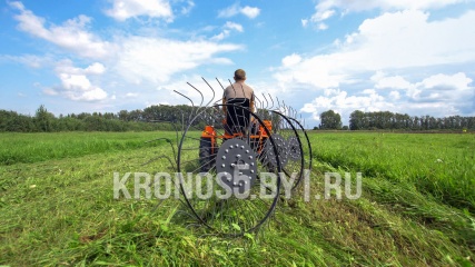 «Грабли-сеноворошилки Крючков ГР-3» - фото 3
