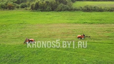 «Грабли-сеноворошилки Крючков ГР-3» - фото 6