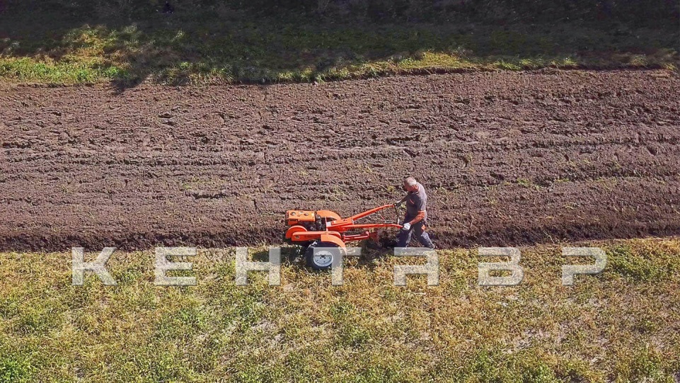 «Мотоблок Кентавр 1081Д + Фреза» - фото 12
