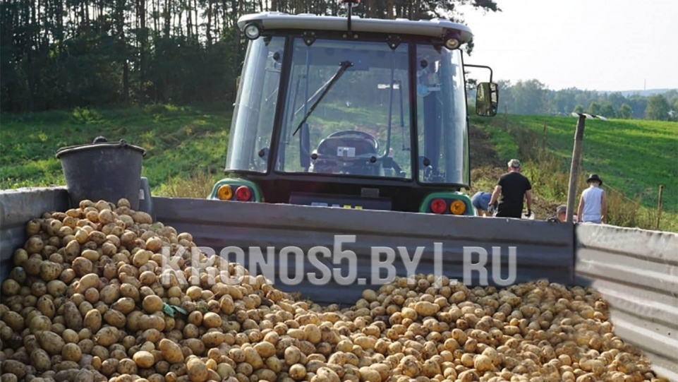«Трактор Zoomlion Chery | Чери Зумлион RK 504С» - фото 14
